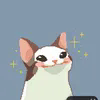 squishy_moe