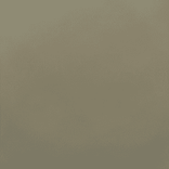 1002651407