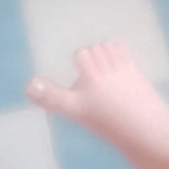 29494086