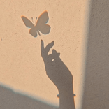 7butter_fly