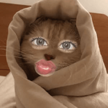 Affdhla_