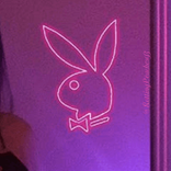 AlexandriaAudraHulse avatar