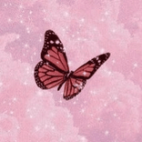 B.utterfly avatar