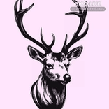 ILOVESILKYTHANG avatar