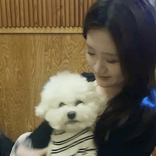 가짜장나라