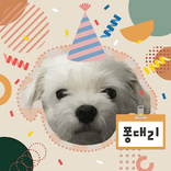 퐁대리