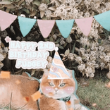 amy_taylorsversion_13
