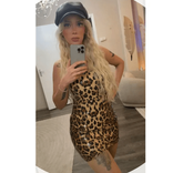 ayla_qamar