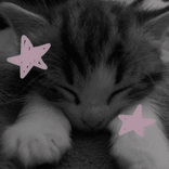 babyflower7
