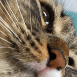 catavalenciaaa avatar