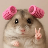 chichichanhchanh456