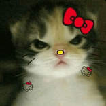 d4rkkqzzx