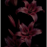 dancing_withme05
