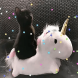 ecchikitti