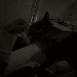 greeneggsandham90 avatar