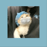 happy_girl2025 avatar