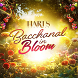 hartscarnival avatar