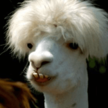 kiretokn005