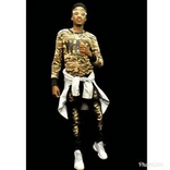 lamdiiviincfa avatar