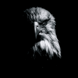 legrandayatollahnk avatar