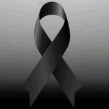 moonbutterfly1313 avatar