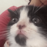 payton.marshall6 avatar