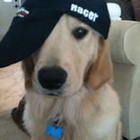 ronniemcdonniee avatar