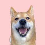shibamonetparis