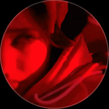 tiktok.cggyhgcghi avatar