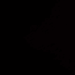 usernotfound0.10101 avatar