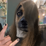 wiiisjaja