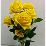 yakouta1977hh avatar